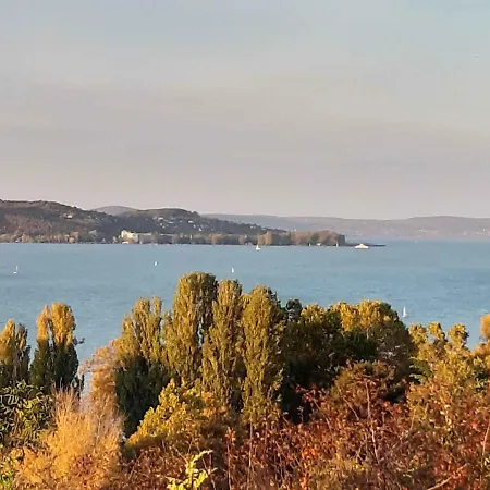 Studio In Balaton 38747 아파트 시오포크